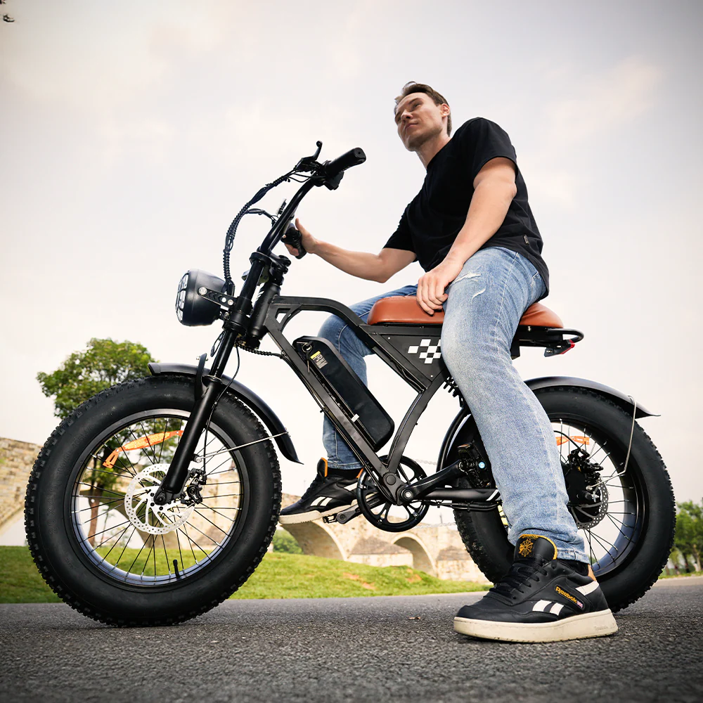 EB5Max 20 Zoll Fat Tire Retro E-Bike - Image 5