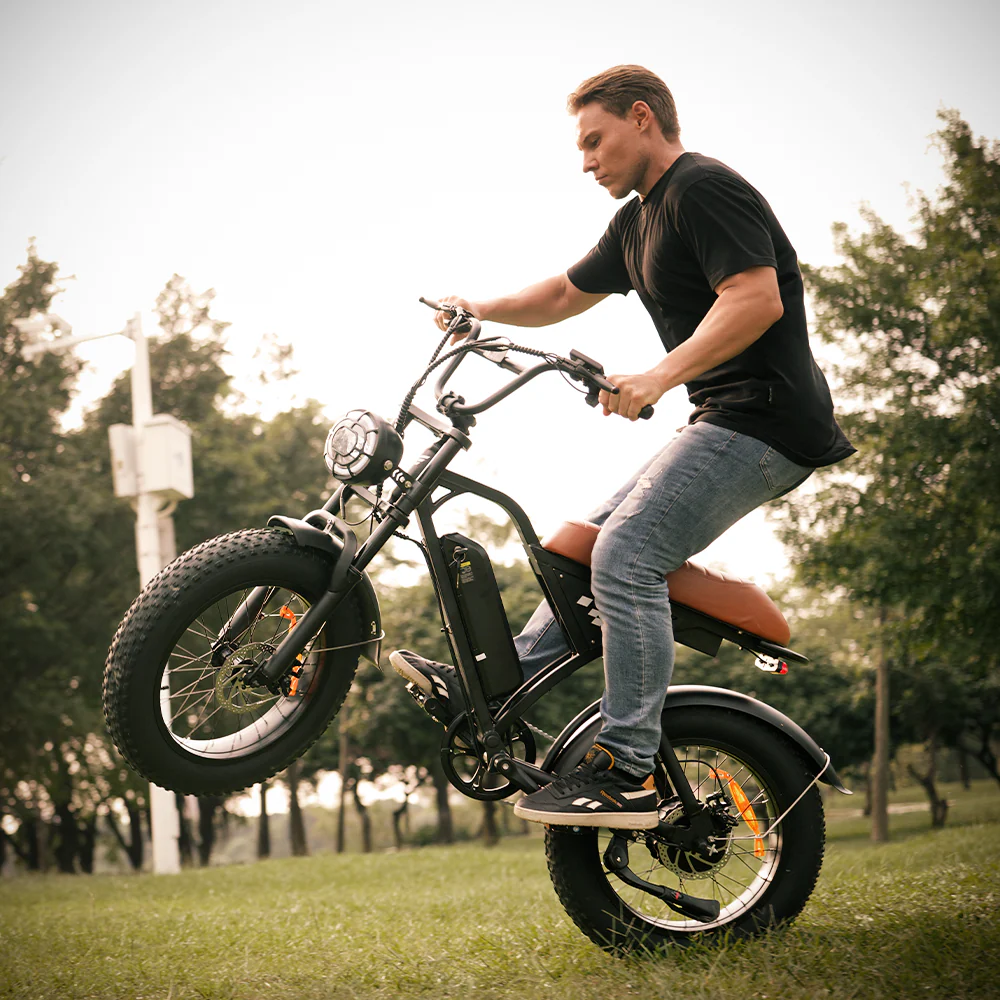 EB5Max 20 Zoll Fat Tire Retro E-Bike - Image 8