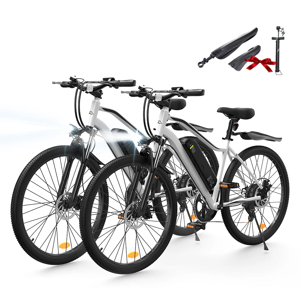 EB3 / EB3S E-Mountainbike - Image 23