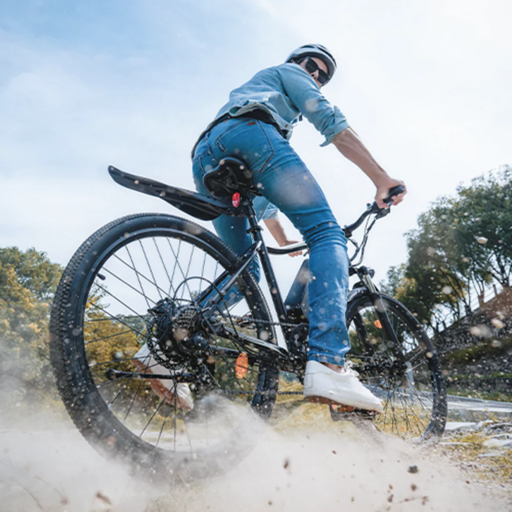 EB3 / EB3S E-Mountainbike - Image 6